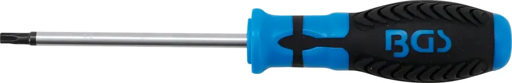 Dokud Zásoby Vydrží BGS Šroubovák T-profil T27 x 100 mm,1/4" vnitřní čtyřhran