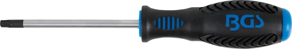 BGS Šroubovák T-profil T30 x 100 mm,1/4" vnitřní čtyřhran Ověřený
