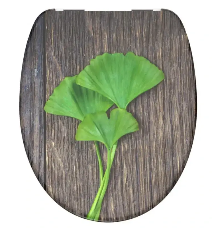 Schütte GINGKO und WOOD | Duroplast, Soft Close Horká Nabídka